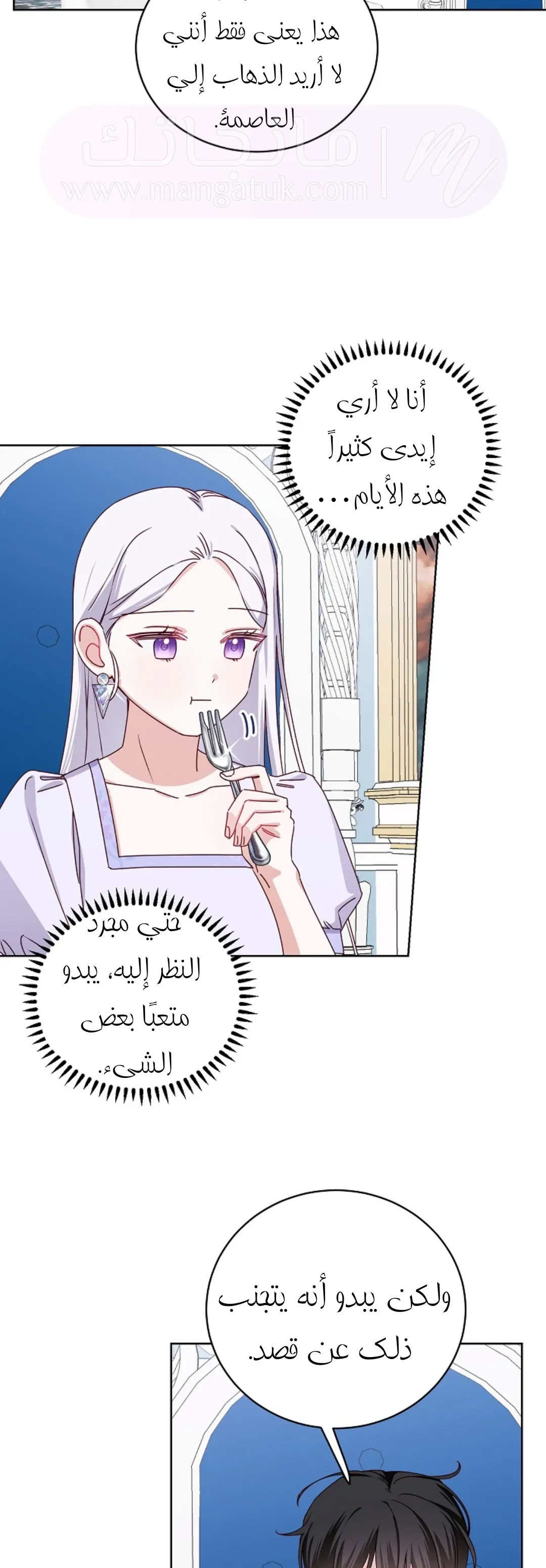 الصفحة 29