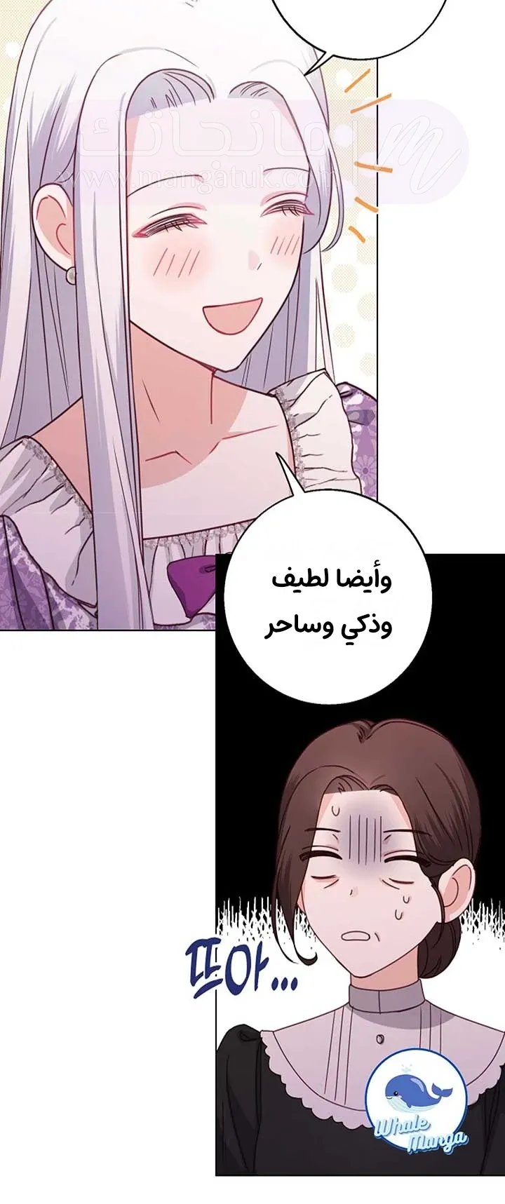 الصفحة 13