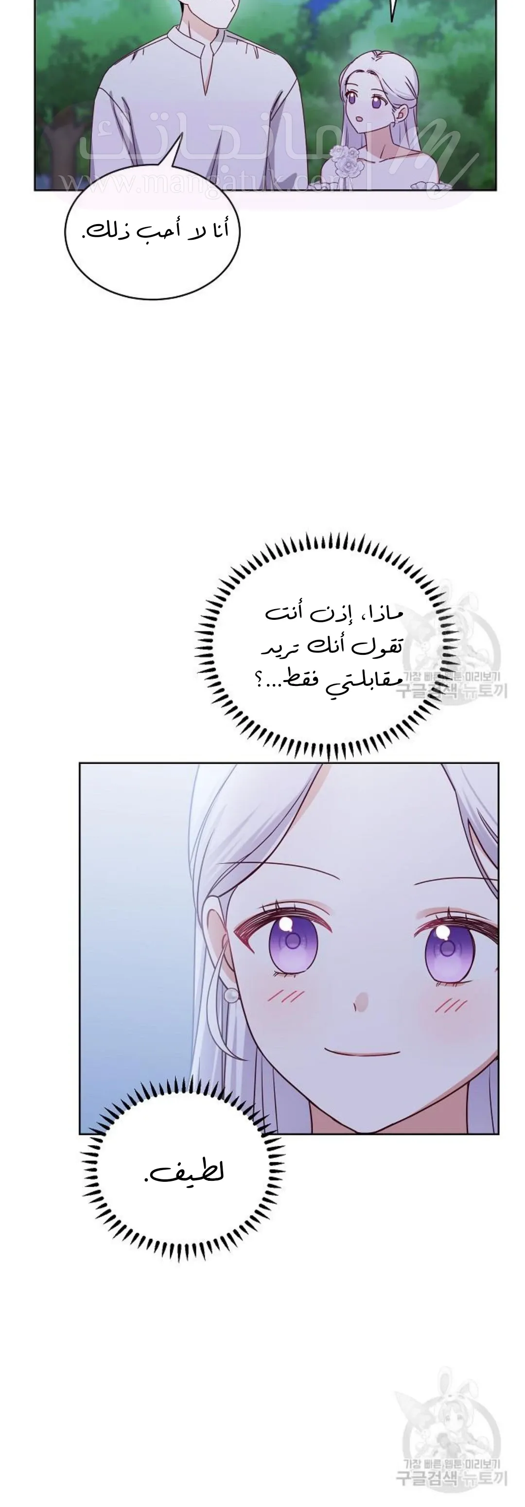 الصفحة 28