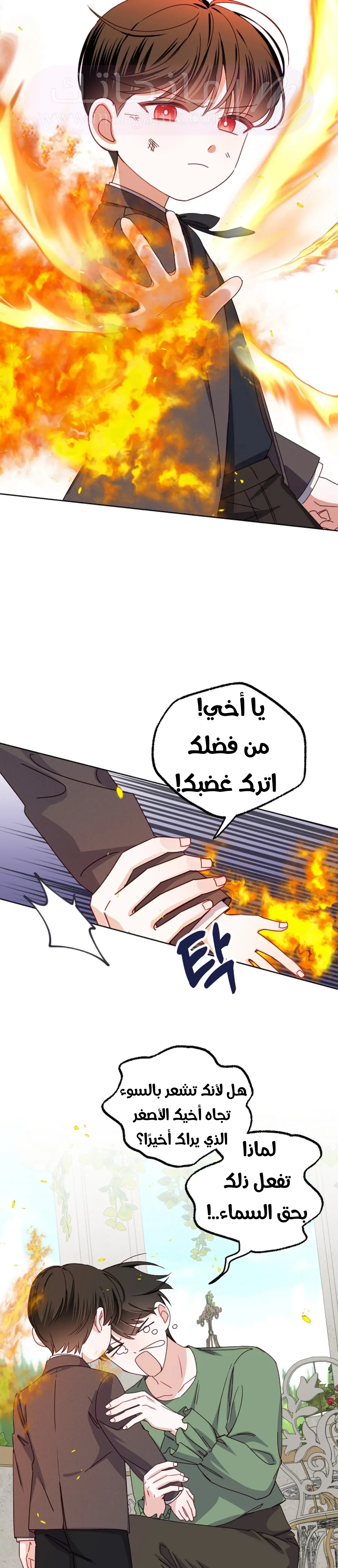 الصفحة 17