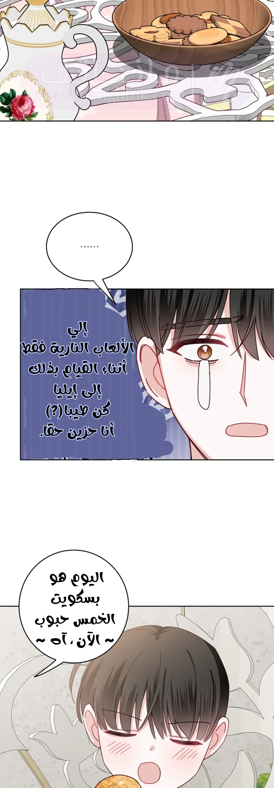 الصفحة 22