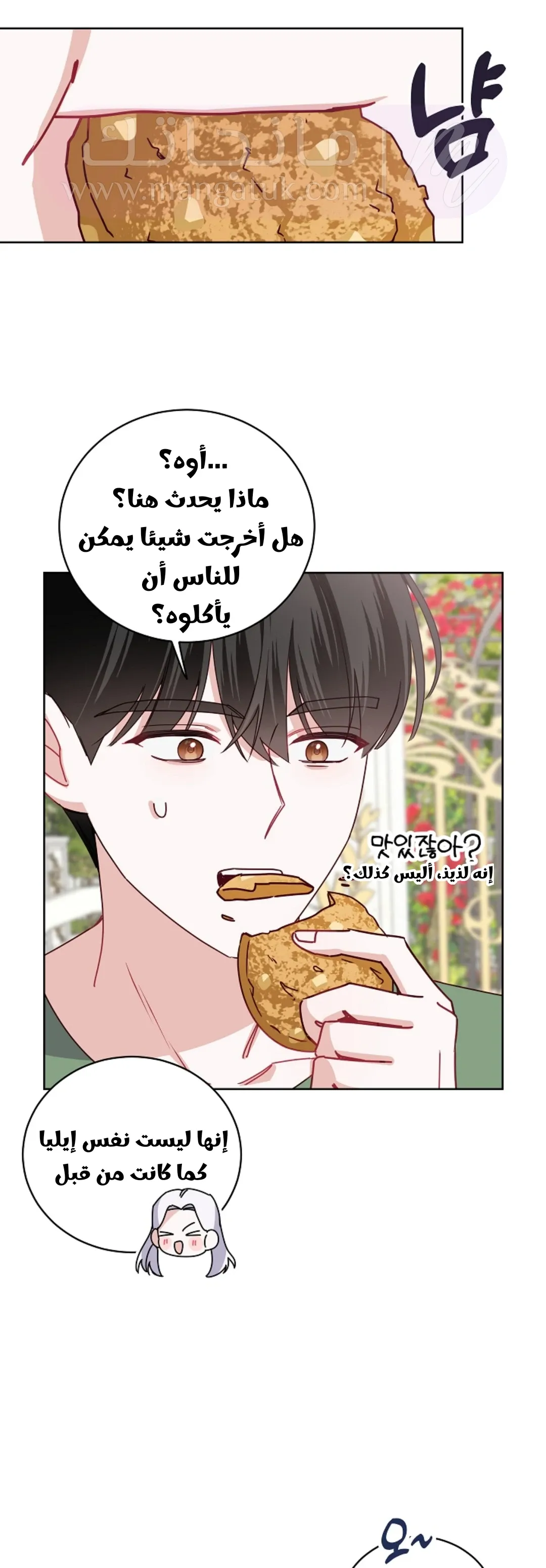 الصفحة 24