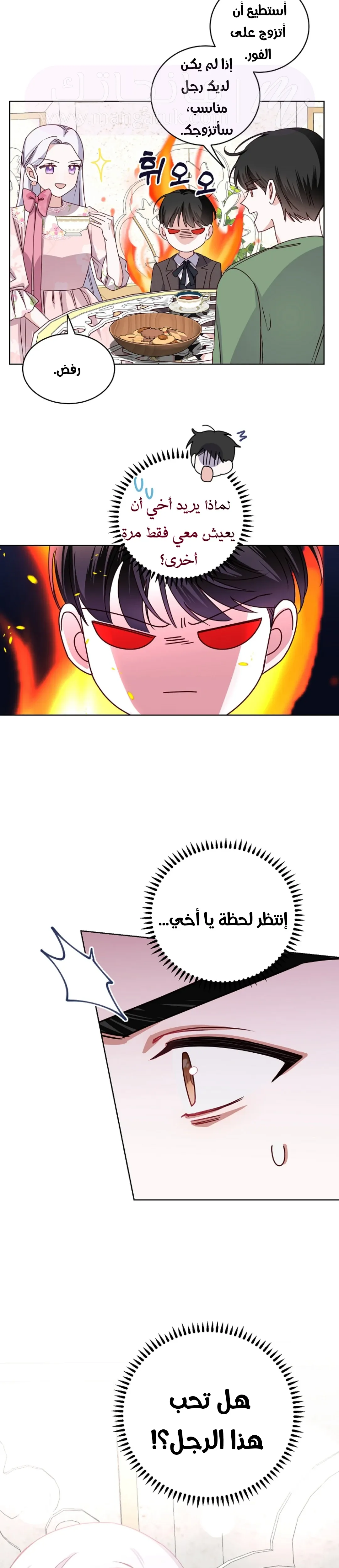 الصفحة 25