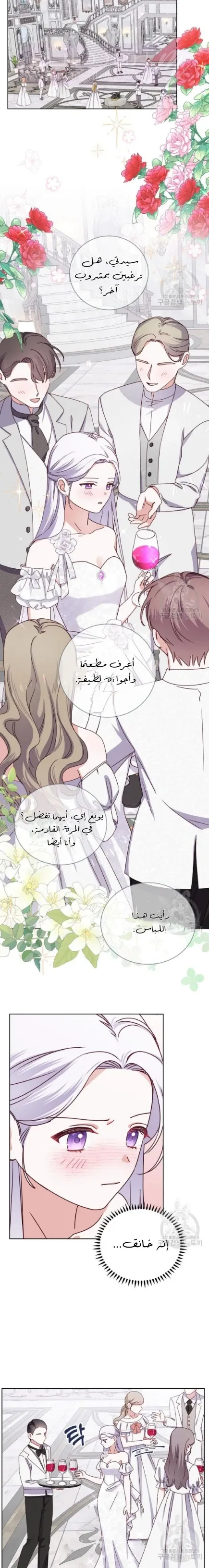 الصفحة 28