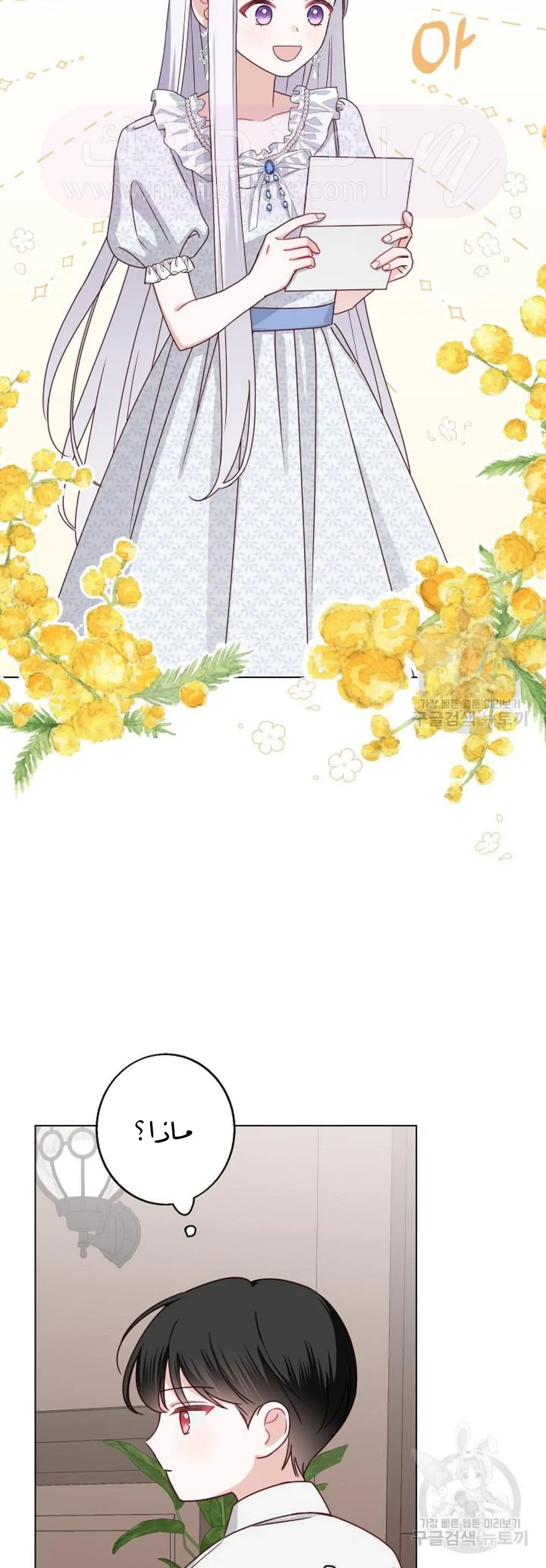 الصفحة 27