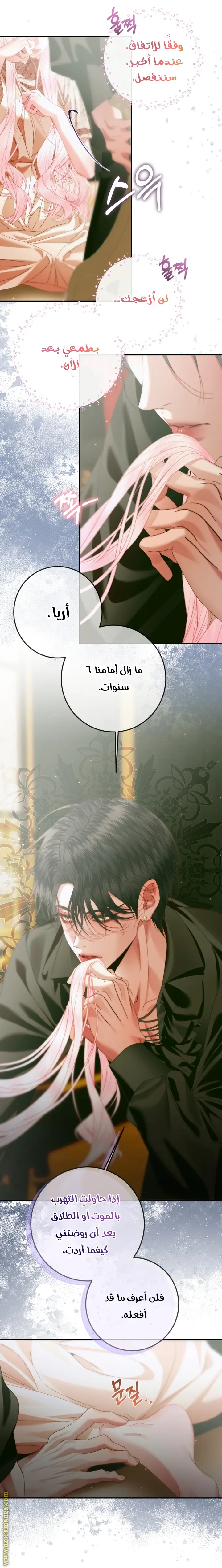 الصفحة 11