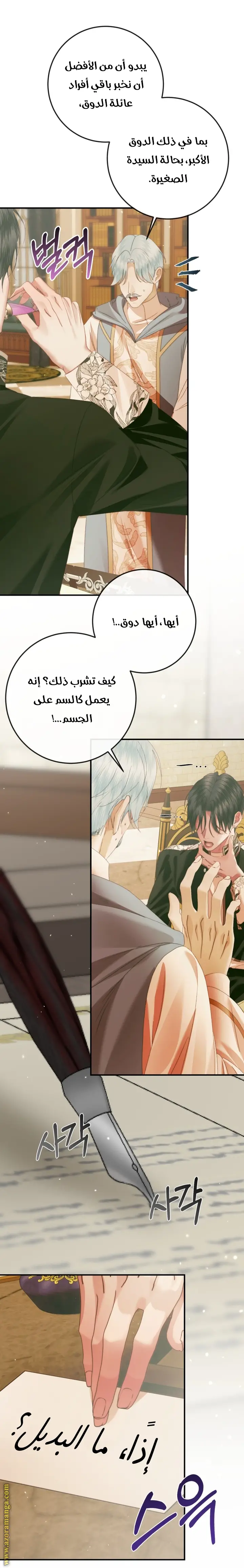 الصفحة 29