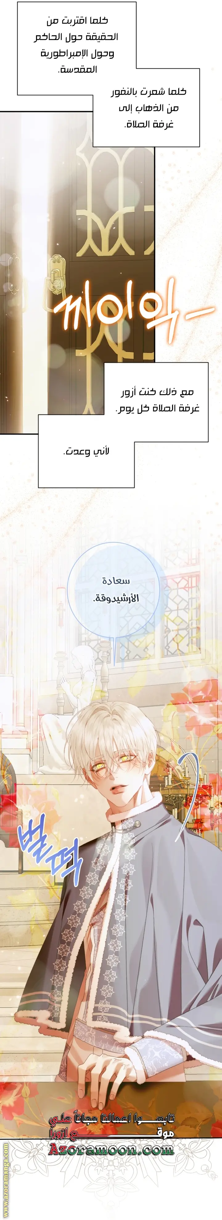 الصفحة 17
