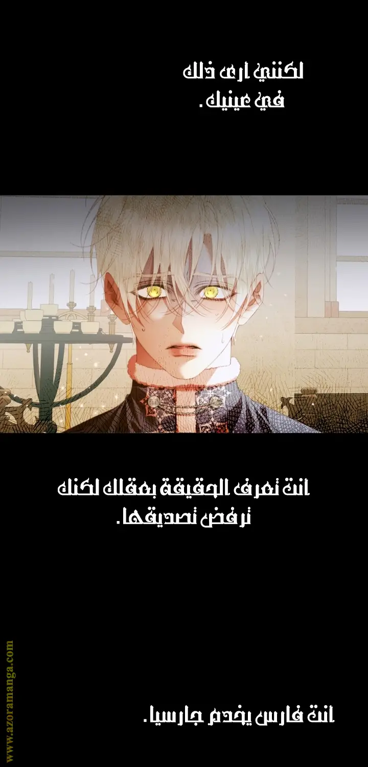 الصفحة 24