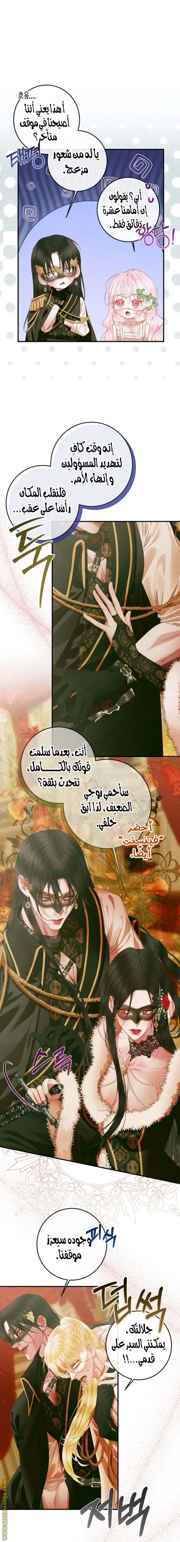 الصفحة 17