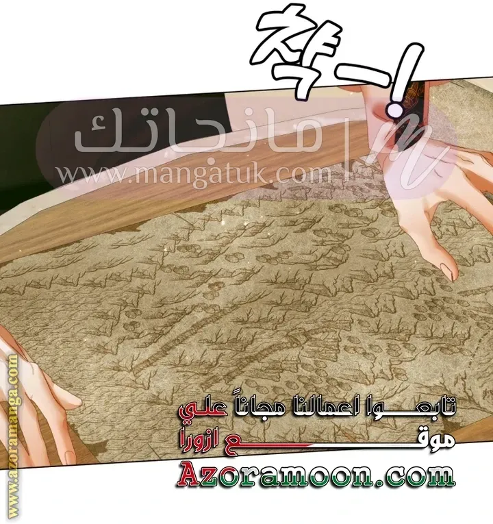 الصفحة 17
