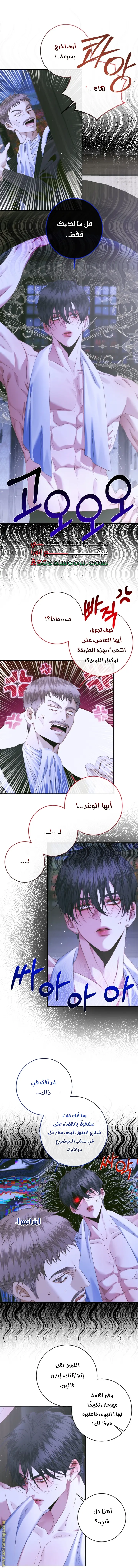 الصفحة 17