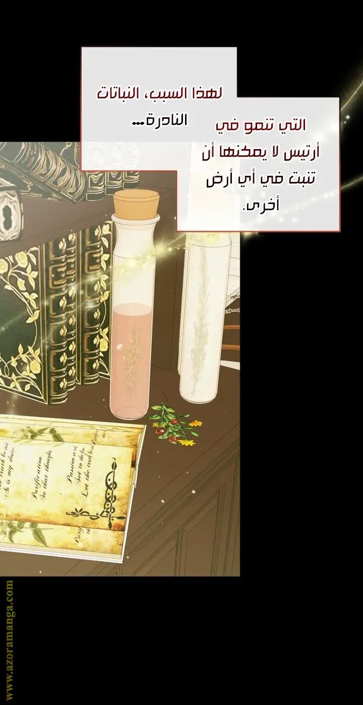 الصفحة 27