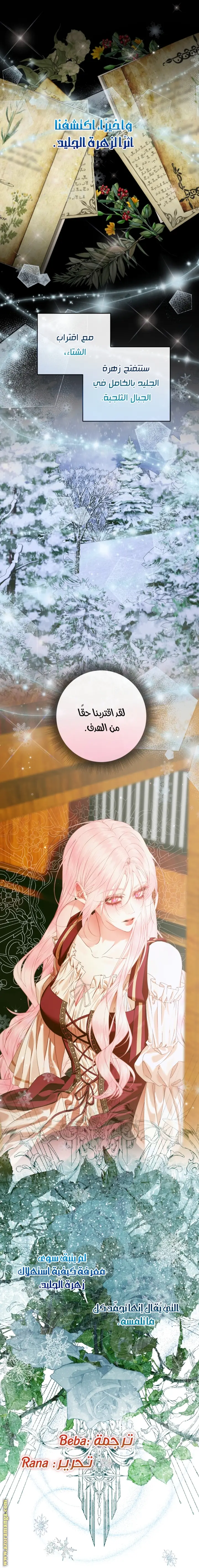 الصفحة 28