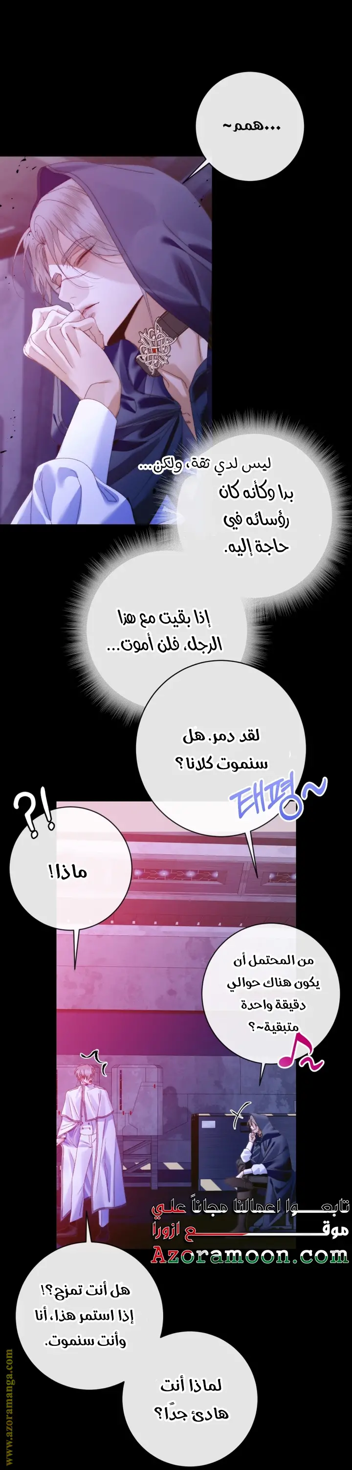 الصفحة 17