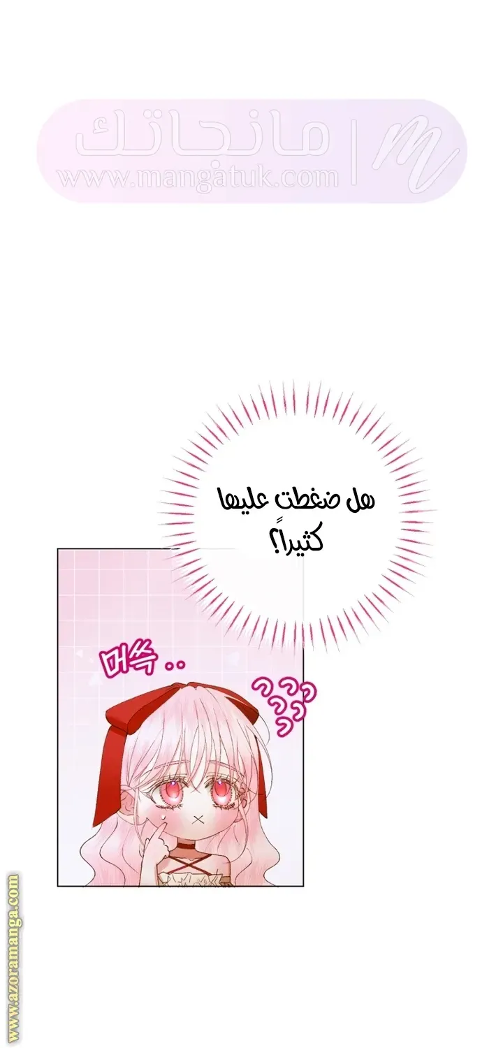 الصفحة 24
