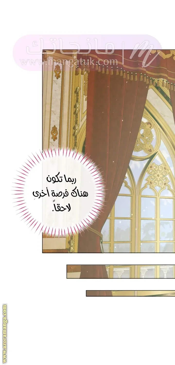 الصفحة 25