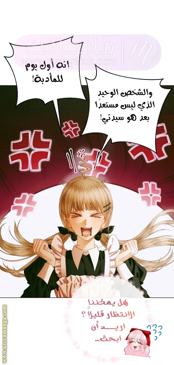 الصفحة 29
