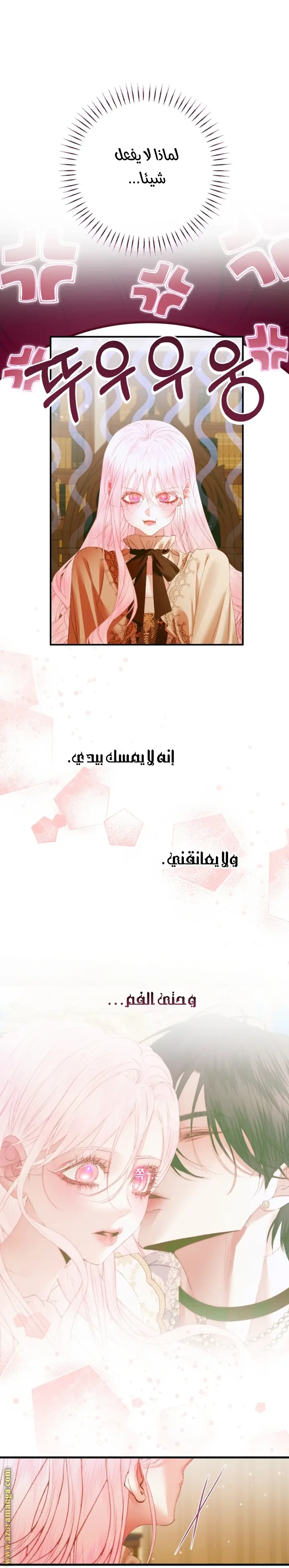 الصفحة 27