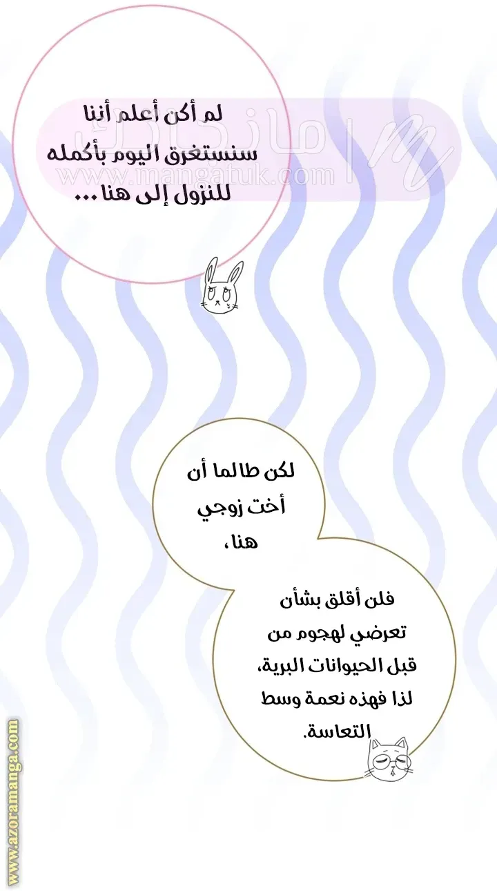 الصفحة 15