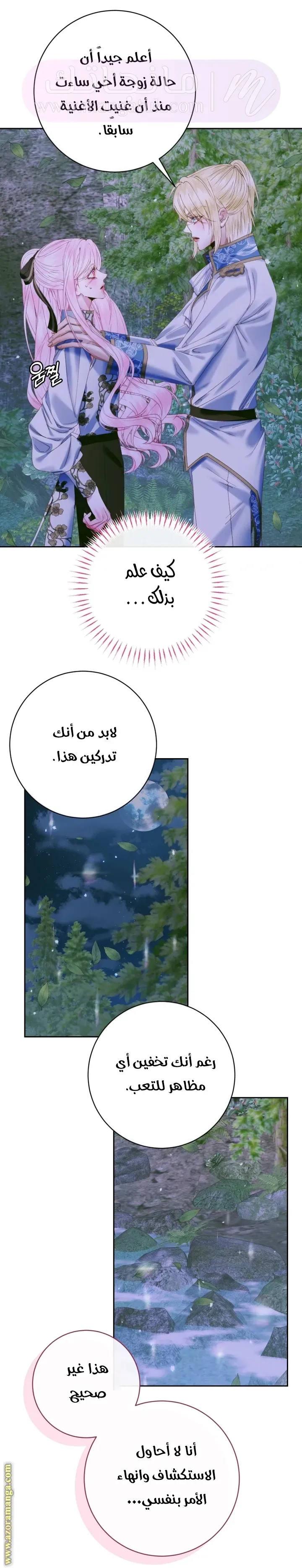 الصفحة 26