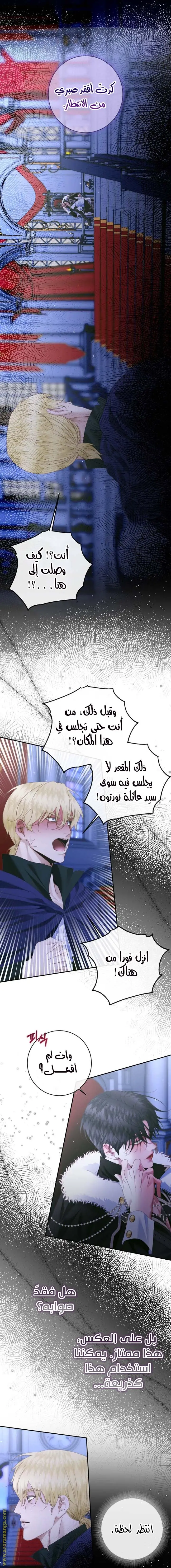 الصفحة 13