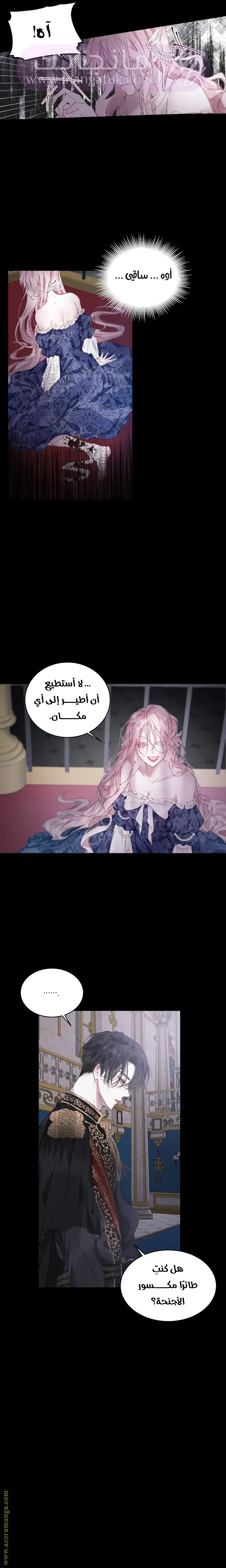الصفحة 15