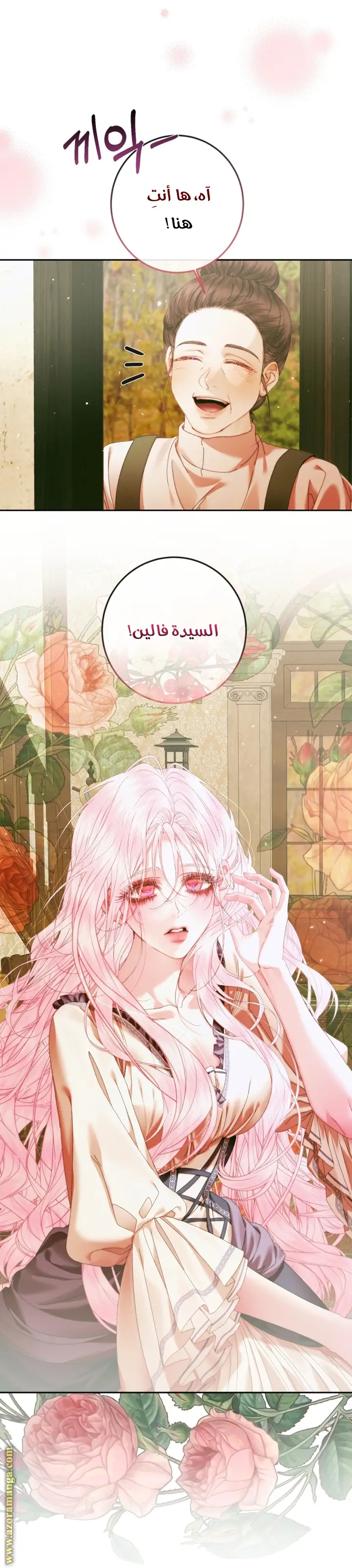 الصفحة 13