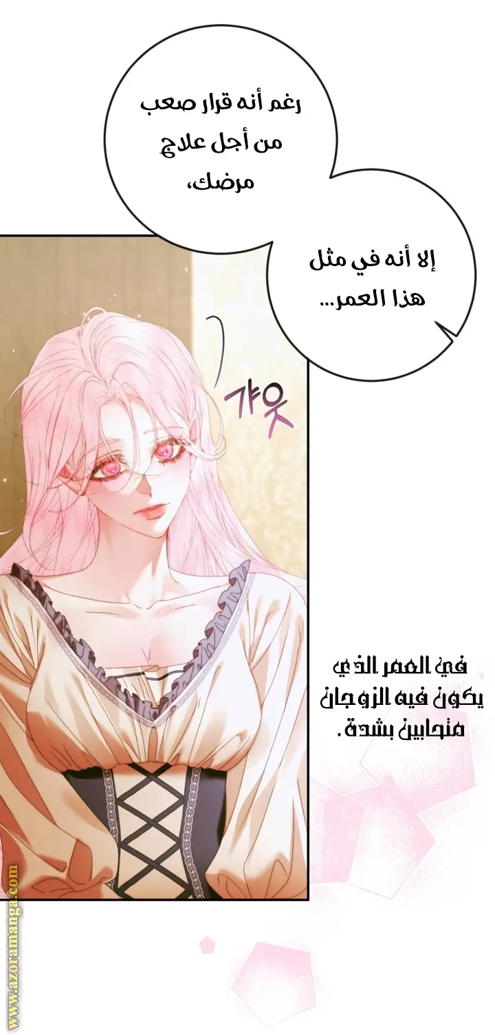الصفحة 21