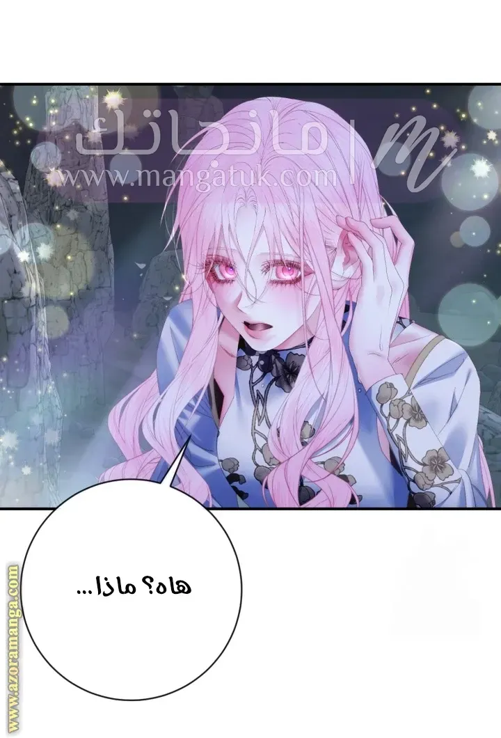 الصفحة 23