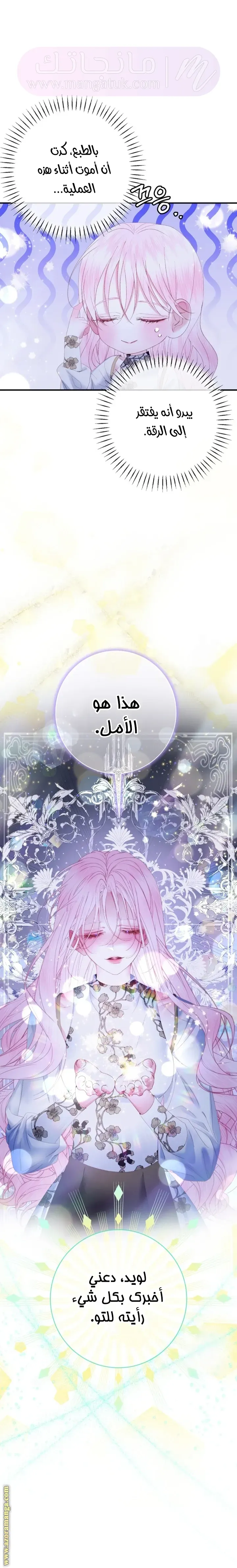 الصفحة 25