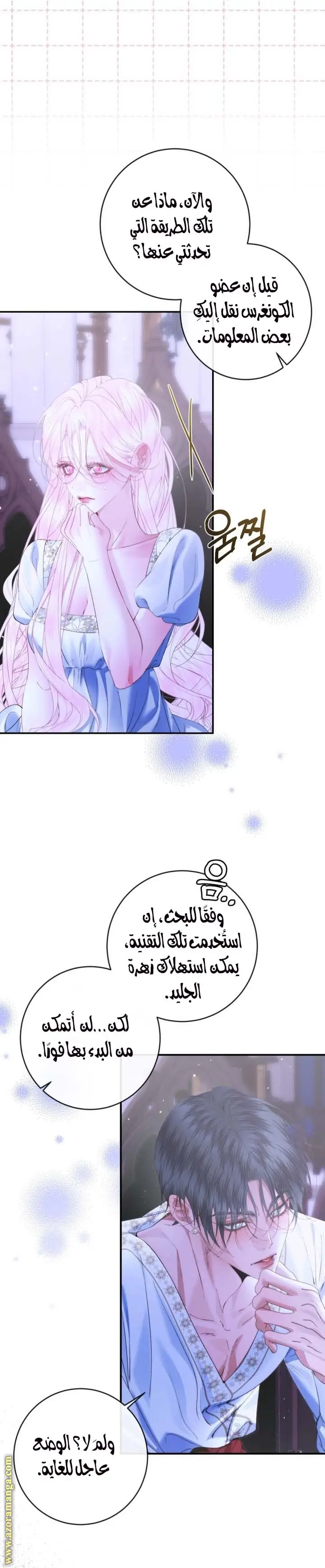 الصفحة 19