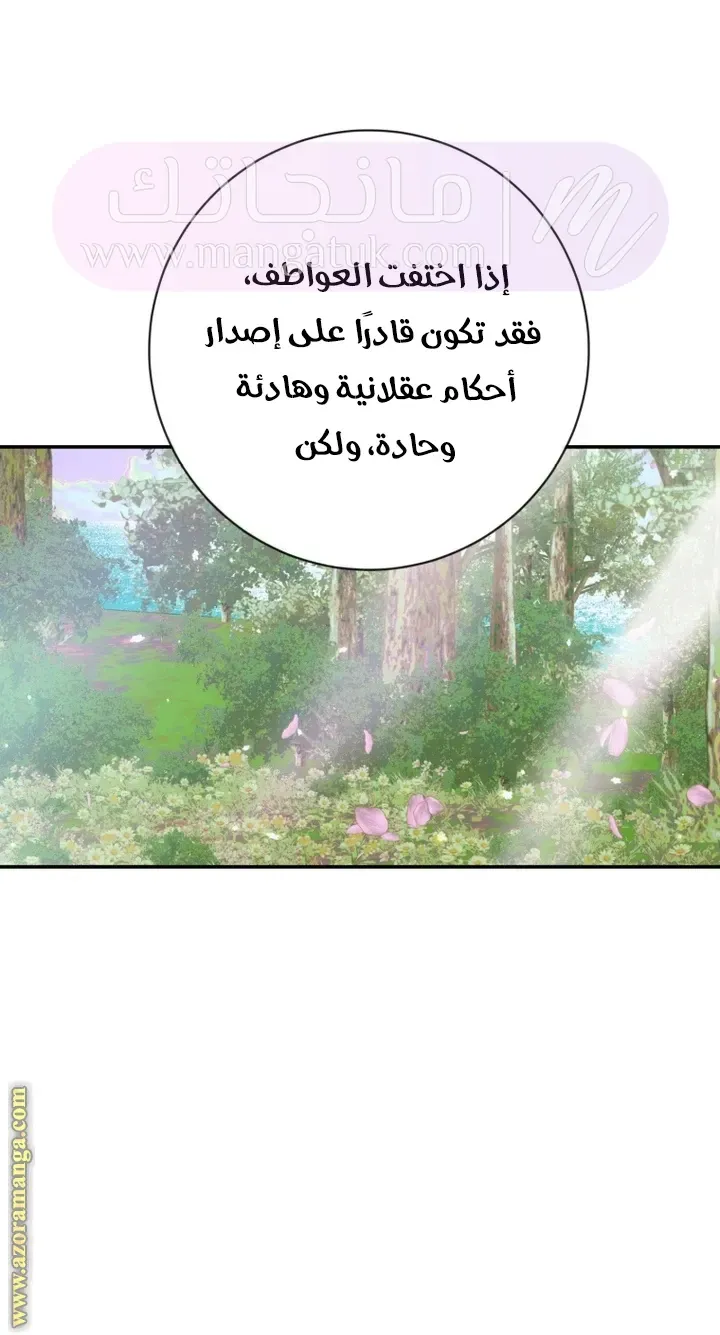 الصفحة 25