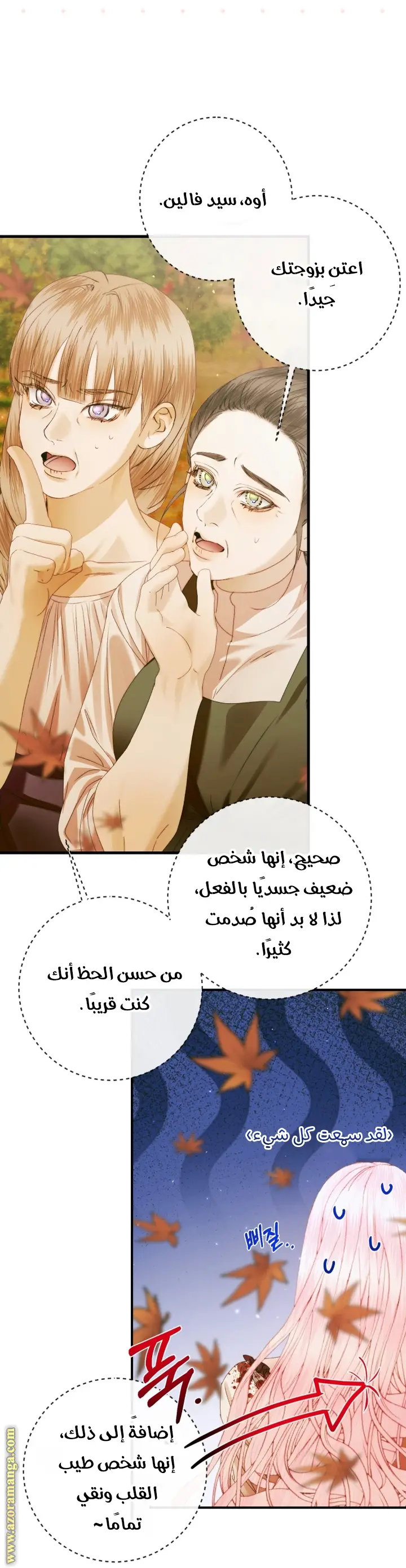 الصفحة 17
