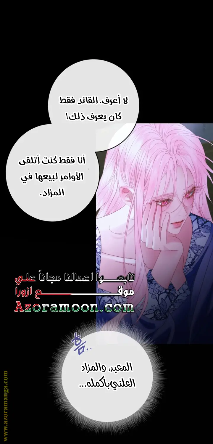 الصفحة 27
