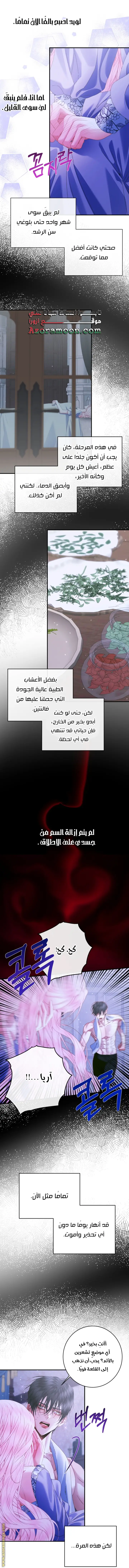 الصفحة 31