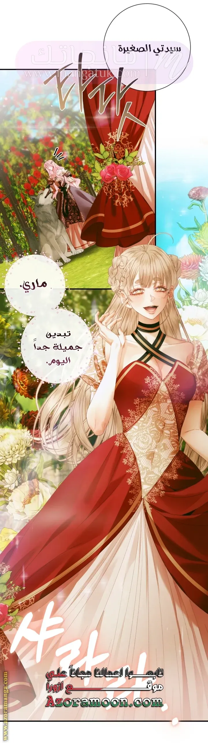 الصفحة 17
