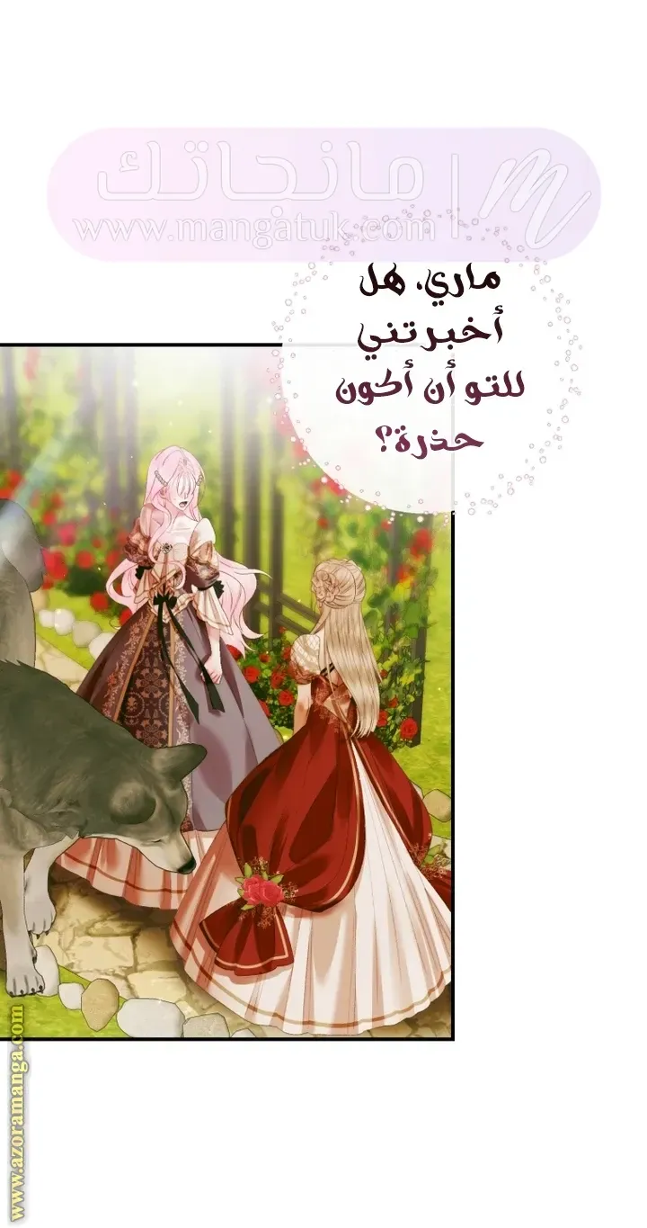 الصفحة 20