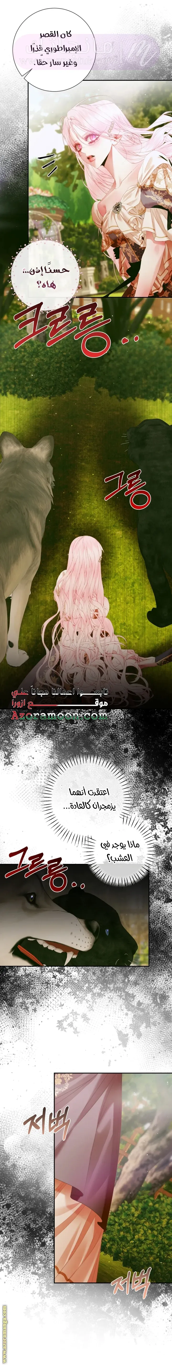 الصفحة 26