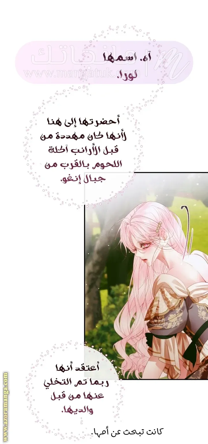 الصفحة 29