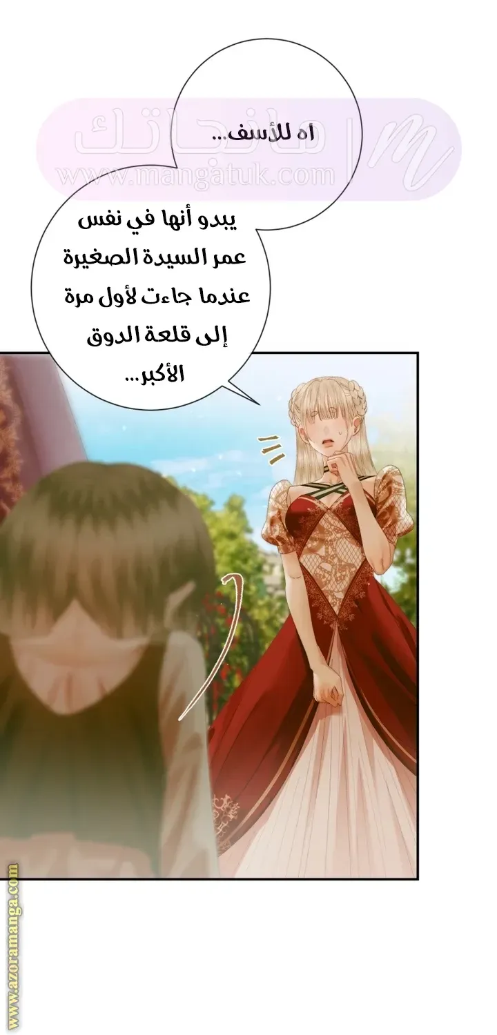 الصفحة 31