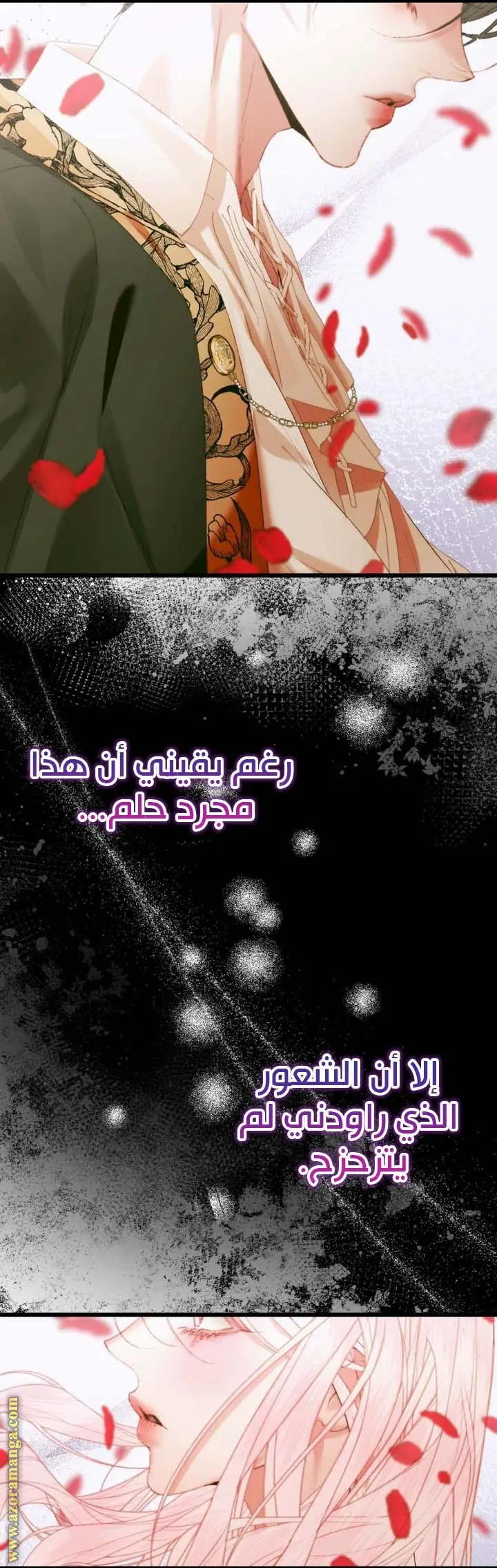 الصفحة 17
