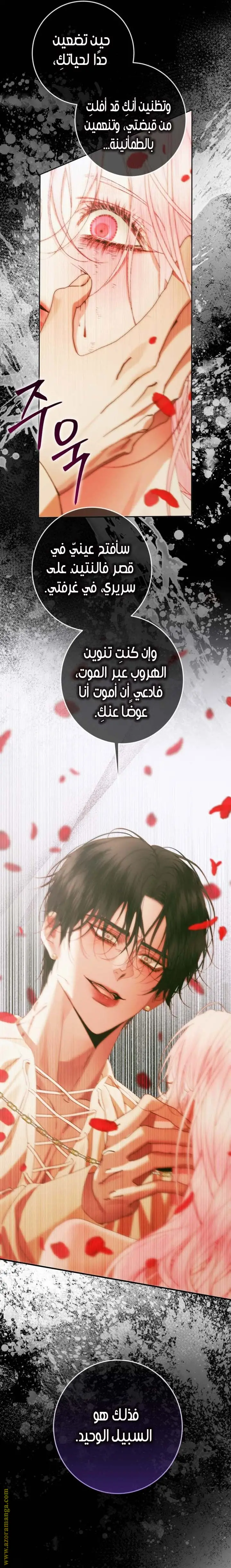 الصفحة 19