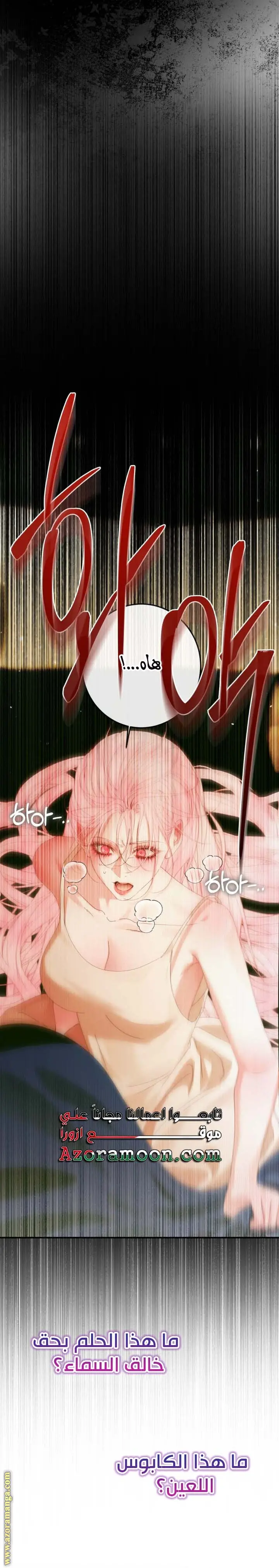 الصفحة 20