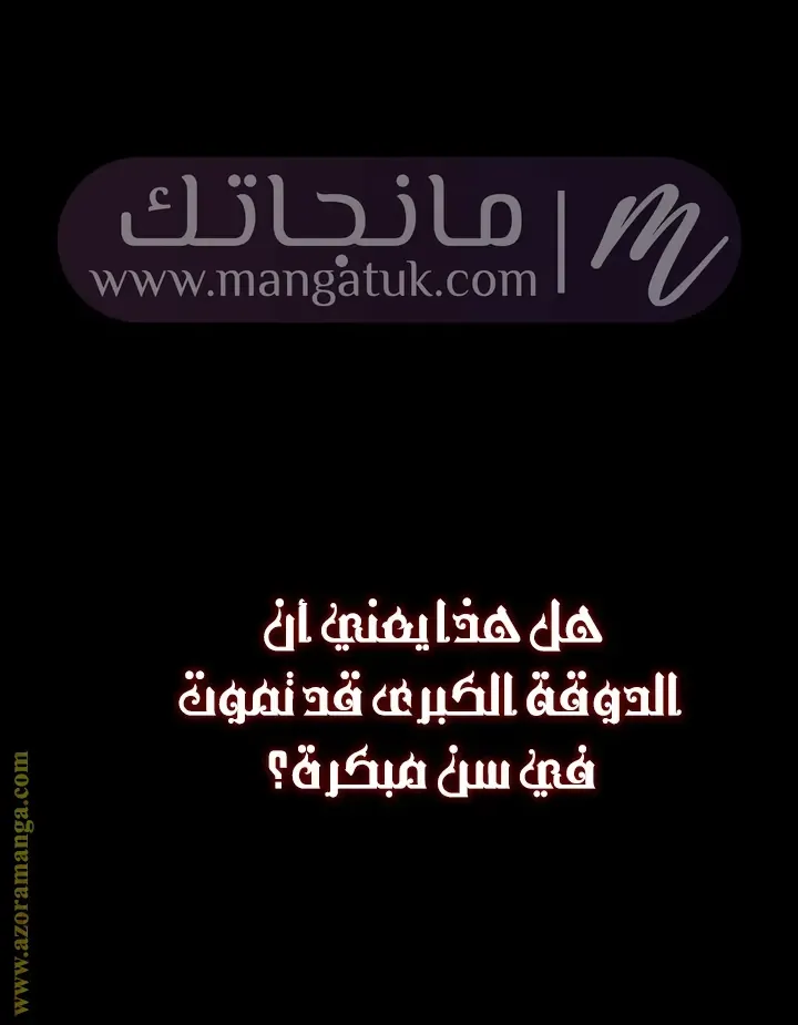 الصفحة 13