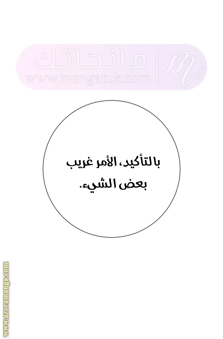 الصفحة 26