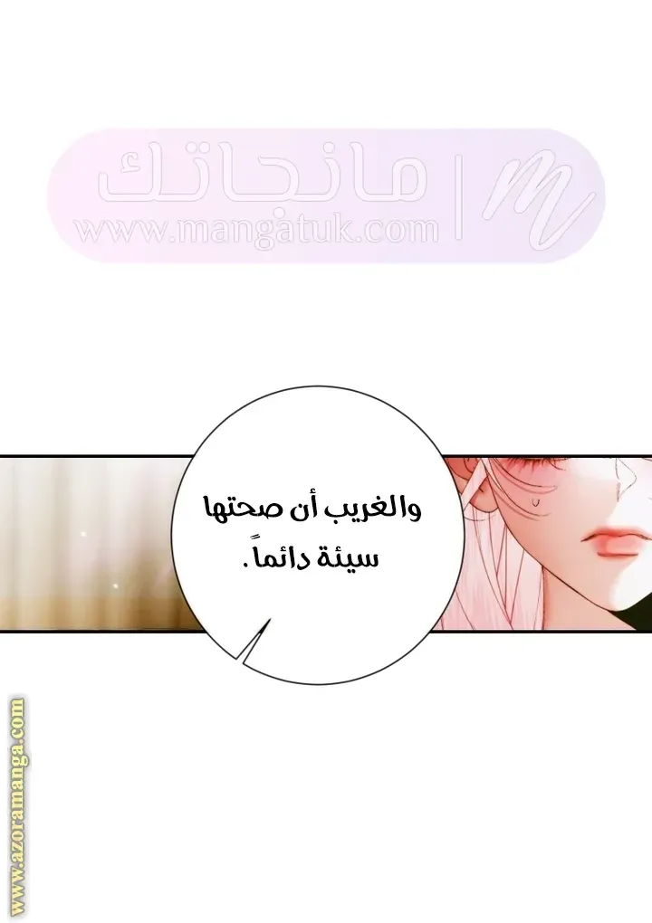 الصفحة 28