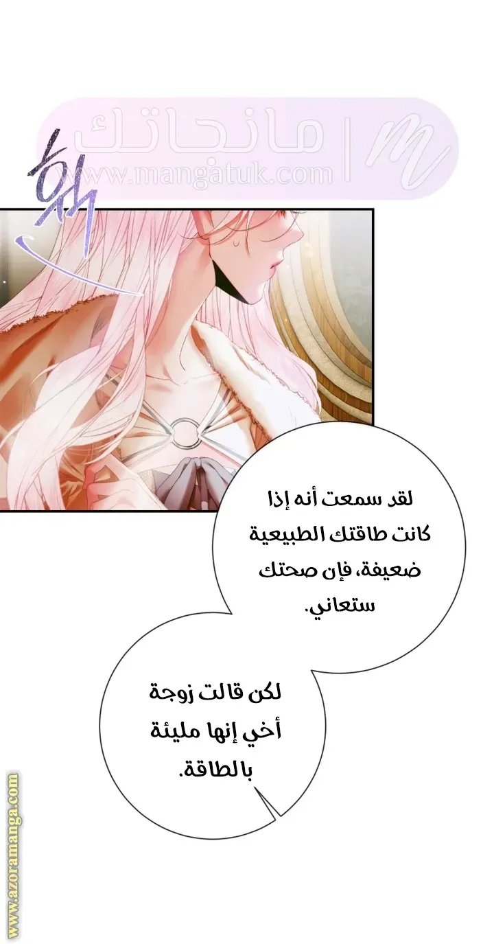 الصفحة 30