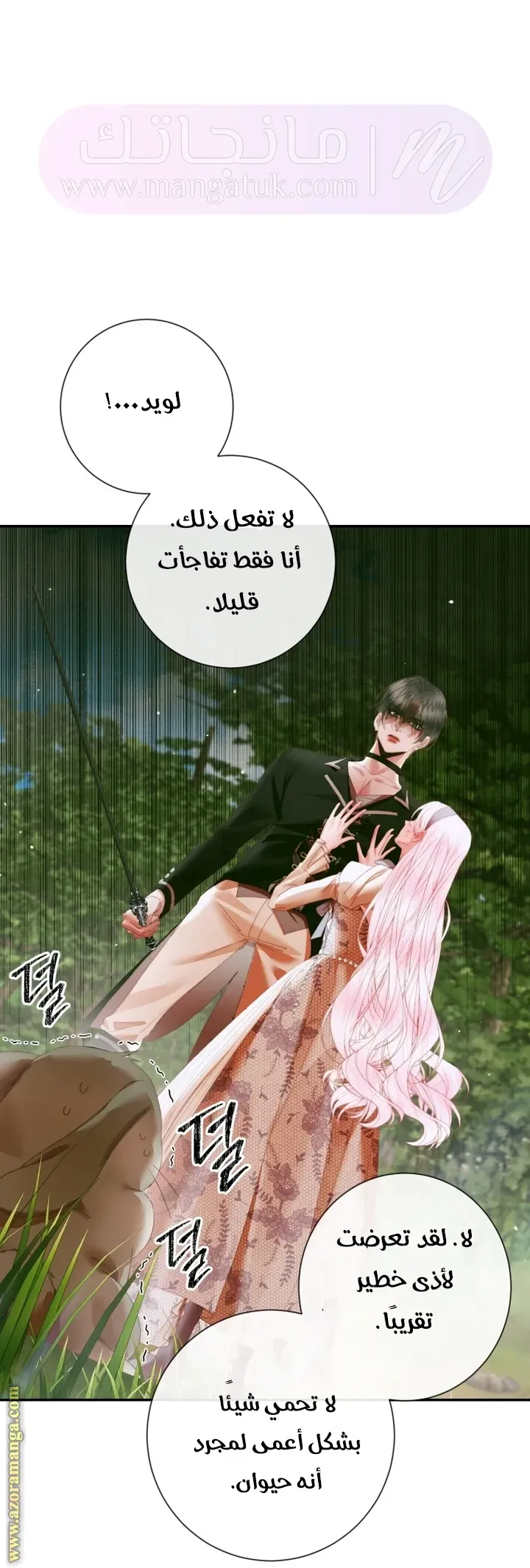 الصفحة 41