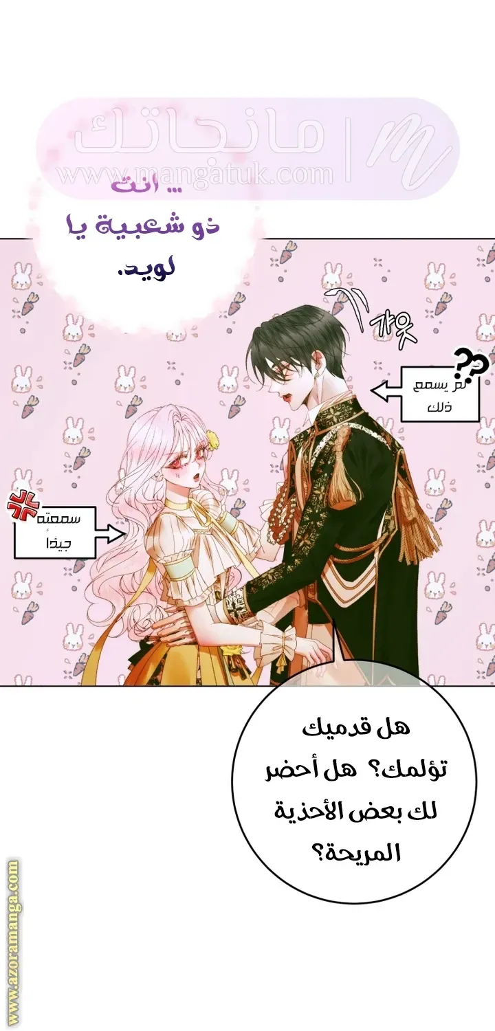 الصفحة 23